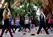 Warriors of Light: Fear Not What’s Happening, Everything is Perfect!