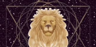 Cintamani Grid Boost Meditation at the maximum of Lion’s Gate Portal opening
