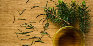 Is this a possible COVID vaccine antidote? – The Freedom Articles