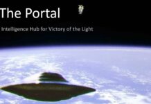 Cobra Update – Aug. 24, 2021 – Hold the Light