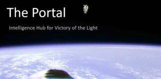Cobra Update – Aug. 24, 2021 – Hold the Light
