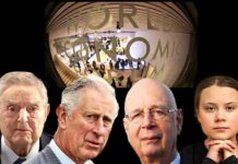 No Privacy, No Property: The World In 2030 According To The World Economic Forum