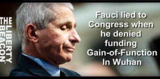 Dr. Anthony Fauci Funded Construction Of ‘Chimeric CVS’ In Wuhan Lab — FOIA Release