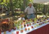 Appalachian “Apple Hunter” Finds and Rescues 1200 Lost Varieties