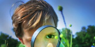 What Went Right Today? Change Your Focus and Change Your World