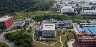 Newly Released Documents Show NIH Funded Gain-of-Function Research in China: Experts