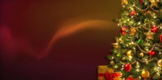 8 SURPRISING THINGS YOU DIDN’T KNOW ABOUT CHRISTMAS TREES