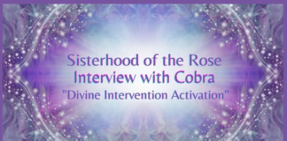 Sisterhood of the Rose Interview with Cobra “Divine Intervention Activation”