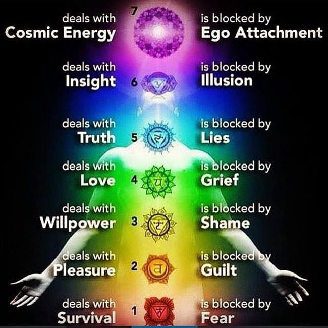 Body chakra systems | when is the event and what should we expect? | banned