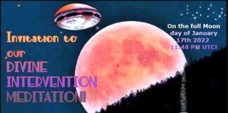 Situation Update and a New Cobra Interview