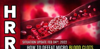 How to Defeat Micro Blood Clots and Block the Spike Protein – A silver lining?