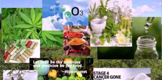 Holistic Cancer Treatments – What The Doctors Won’t Tell you