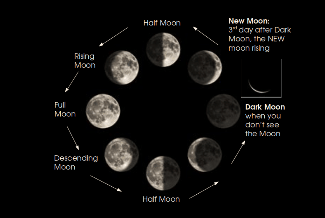 Dark Moon Reading 1st April 22 - Prepare For Change