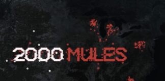 2000 Mules Documentary Exposes 2020 Election Fraud