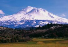 Thank You Rob Potter – Shasta Conference Tickets