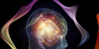 Ascension Connection Call Wednesday – Your Psychic Mind