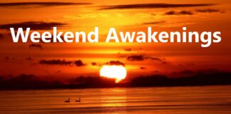 Weekend Awakenings Public Call – Aug 13, 2022 – Lionsgate Portal and Other Signs