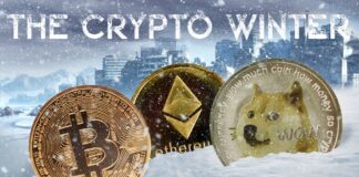 Ascension Connection Public Call – The Crypto Winter – August 2, 2022