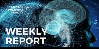 Great Awakening Weekly Report: : Information Anarchism / Single Level Event / Cosmic Consciousness