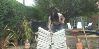 Ascension Connection Public Call – August 23, 2022 – Mercinary to Spiritual Healer