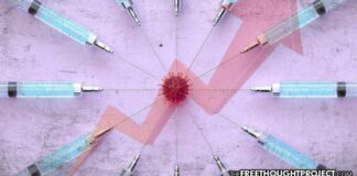 600% More Deaths Reported In Last 19 Months Than In Entire 32 Year History of VAERS Database