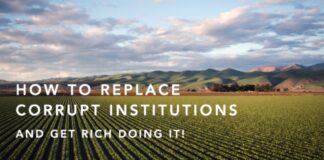 How to Replace Corrupt Institutions (and Get Rich Doing it!)