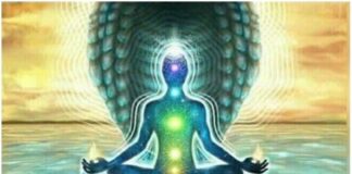 Healing Group Public Call – Let’s “DIVE IN” and Supercharge our PINEAL Gland! Nov 26, 2022