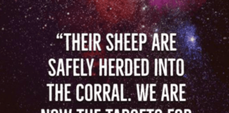 Intel Drop #25 – The Cabal’s Plans For 2023