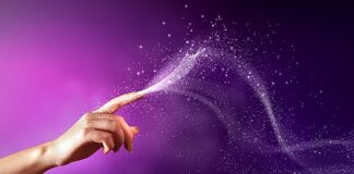 Becoming the Change…. Morphogenic Fields and You