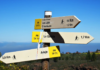 Choosing Curiosity Over Certainty