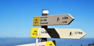 Choosing Curiosity Over Certainty