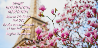 Full Moon Meditations and International remote healing sessions between March 5th and 7th divineintervention