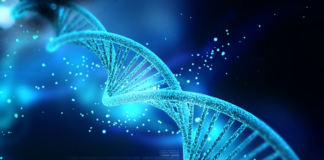 Ascension Connection – Is our DNA Changing? April 20, 2023
