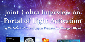 Cobra Interview on Portal of Light Activation by WLMM, IGAG and Japan Prepare for Change Official interview-WLMM
