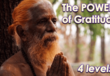 The Power of Gratitude: including 4 Levels of Gratitude Consciousness