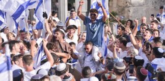 ‘Palestine must be obliterated,’ says deleted Times of Israel column