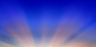 Cobra Update: Portal of Light Activation and Taiwan Conference Reports – 13th May 2023