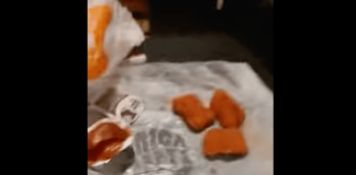 American Fast-Food Chains Use Seaweed, Soy, And Even Wood To Beef Up Menu Items, Study Reveals