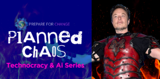 The Musk Transhumanism Con & We Are Our Saviors