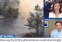 Steve Milloy stuns TV anchor with real science, exposes Global Warming/Climate Change hoax