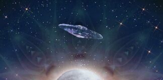 Cobra Update: Situation Update – 8th June 2023