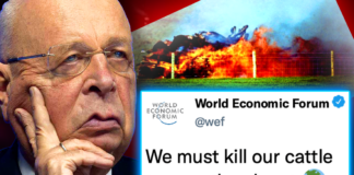 WEF Orders US Gov’t To Forcibly Seize Farms by 2025 and Burn Millions of Cattle