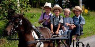 Amish Rejected Big Pharma Vaccines, Now They Are Officially ‘Healthiest People in the World’