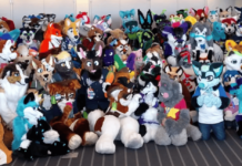 The World of School-Aged Furries