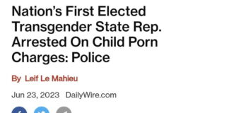 Nation’s First Elected Transgender State Rep. Arrested On Child Porn Charges: Police
