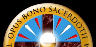 How A Secret Group Opus Bono Sacerdotii Protects Pedophile Priests