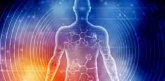 Frequency 14: How Electromagnetic Fields Damage The Cardiovascular System
