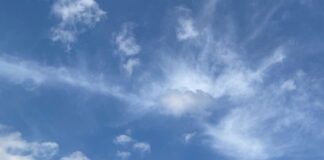 Ascension Protocols Workshop with Cobra on September 10, 2023, in Germany (notes) 0