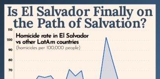President of El Salvador Nayib Bukele Who Cut Murder Rate by 92% Says Destruction of U.S. Cites Like LA, etc Must Be by Design