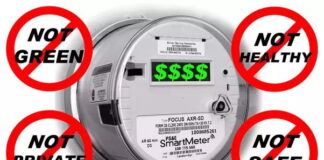The Problem with Smart Meters